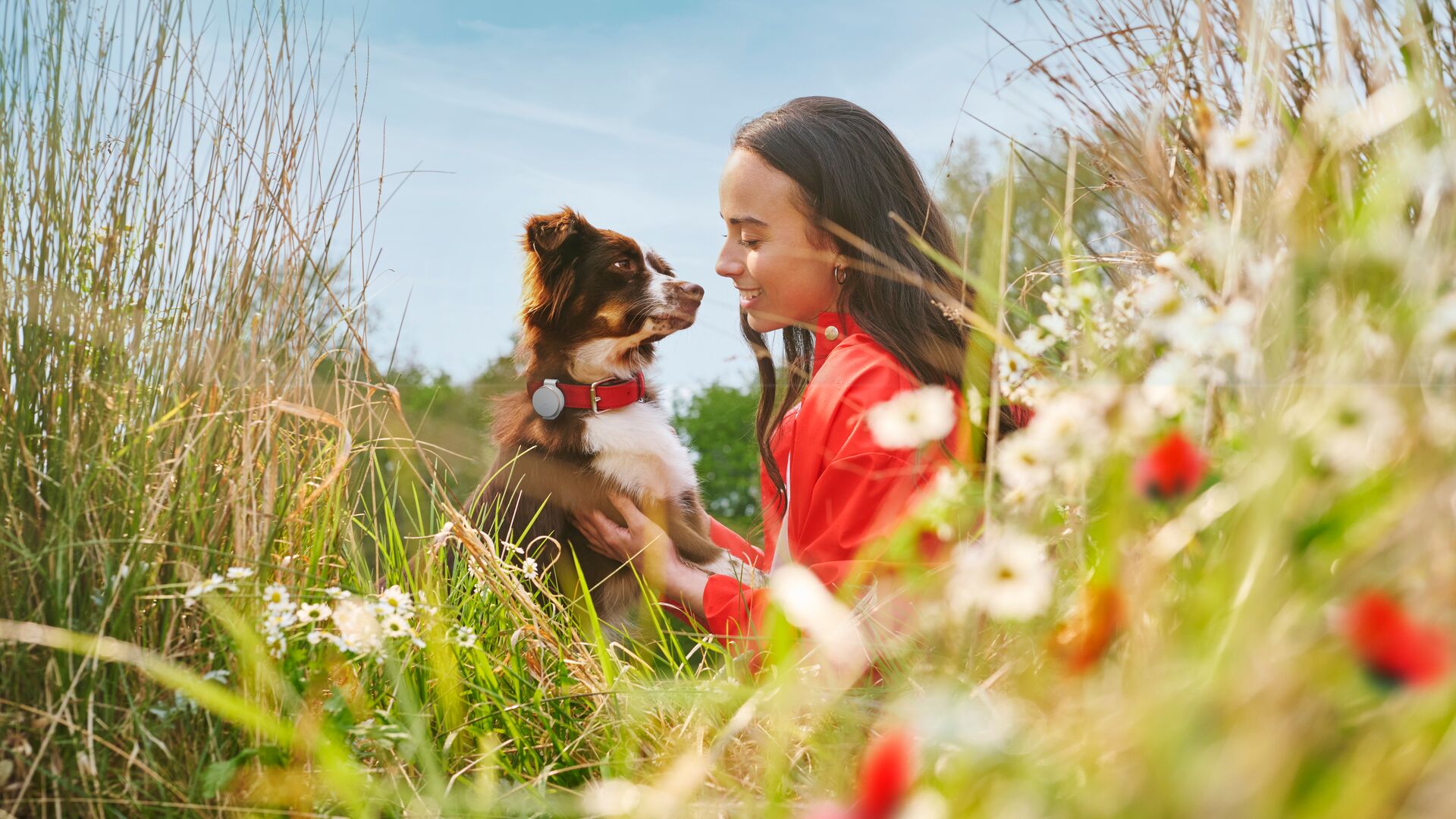 image of an IoT pet tracker clipped to a dog's collar